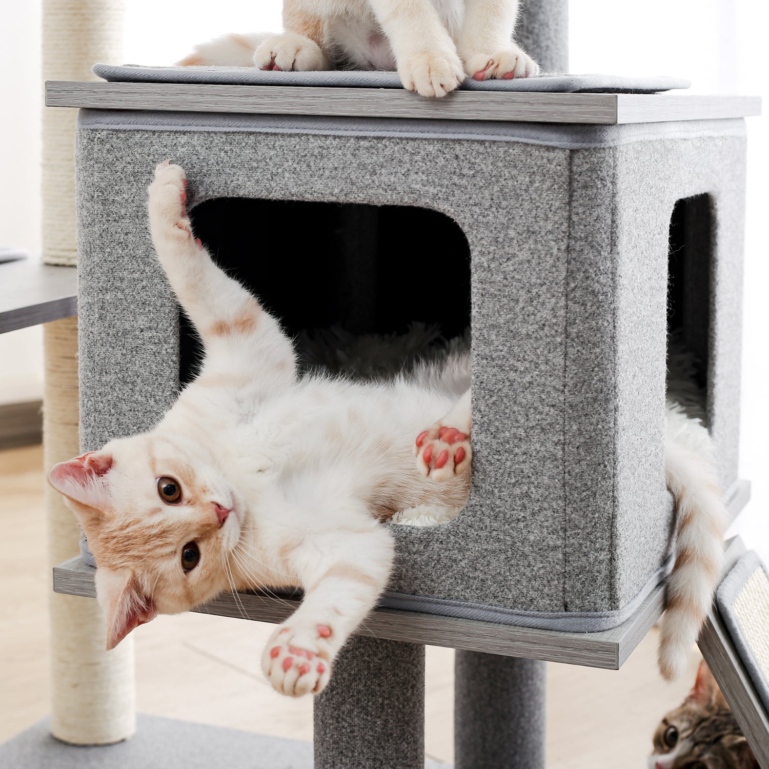 7 Levels 50 Inch Modern Cat Tree Cat Tower with Natural Scratching Posts,Cozy Condo and Extra-Large Top Perch Grey - TOYSHIP