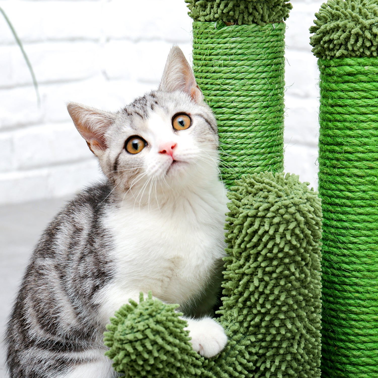 Cat Scratching Post Cactus Cat Scratcher Featuring with 3 Scratching Poles and Interactive Dangling Ball - TOYSHIP