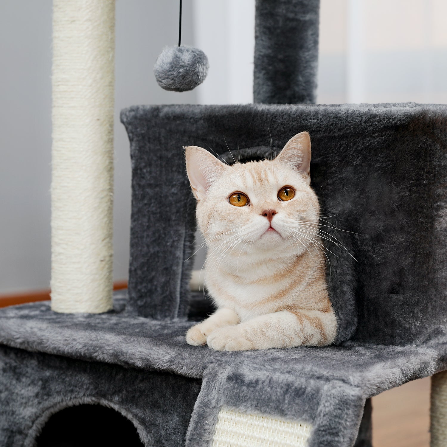 Modern Grey Small Cat Tree Tower with Double Condos, Spacious Perch, Sisal Scratching Posts, Climbing Ladder, and Replaceable Dangling Balls for Cats