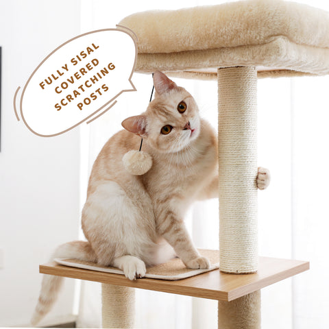 Multilevel Wooden Cat Tree Modern Cat Tower Cat Play House with Large Condo, Spacious Hammock, Cozy Top Perch and Dangling Balls - TOYSHIP