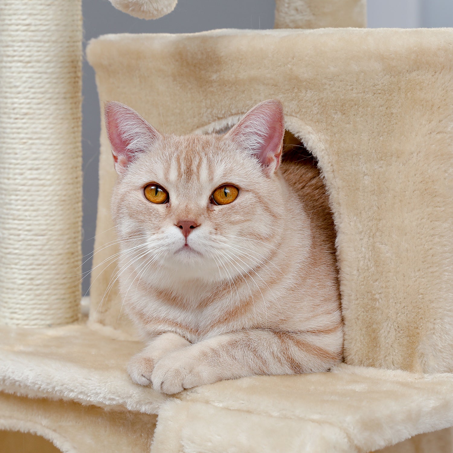 Modern Small Cat Tree Cat Tower With Double Condos Spacious Perch Sisal Scratching Posts，Climbing Ladder and Replaceable Dangling Balls Beige