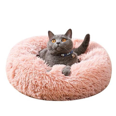 Comfy Pet cushion Bed