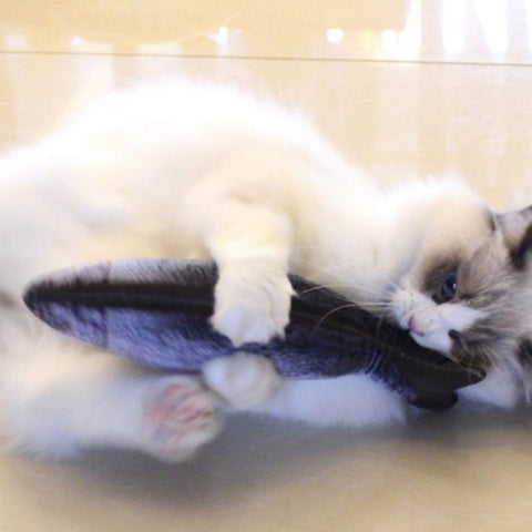 Moving Fish Toy for Cats - TOYSHIP