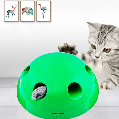 Peek a poo Interactive Cat Toy